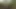 EVERYONE LOOK! EDUCATIONAL BEAUTIFUL VIDEO I TRIED and we were caught in the forest!)