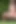 The Nearest Point by Got 2 Pee where girls come to piss