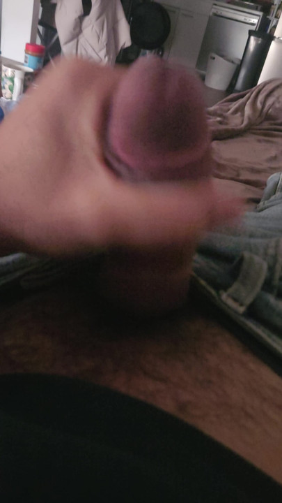 Maghreb determined for cougard and other snap mehdihabiche