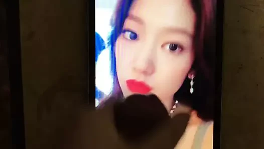 Park shin hye