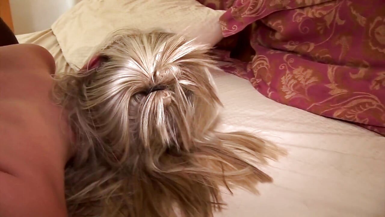 Muscle Stud Pounds Blonde and Brunette Slut Hard - Assfucks, Creampies & Squirt!