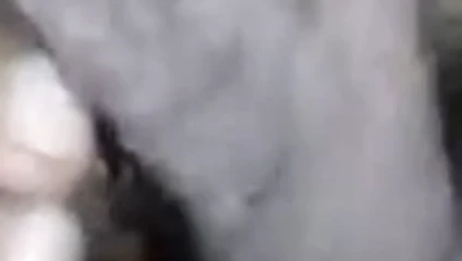 bbc