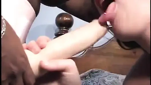 Cewek kulit hitam ngentot gadis kulit putih pakai strap-on