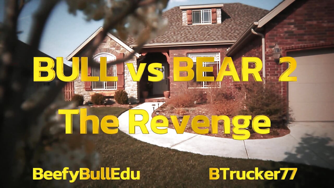 Bull Vs Bear 2 the Revenge