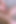 ヴェロニカ・タイニー・ブロンドがペニスをからかい、エッジングしてから爆発させた!