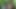 Had hardcore sex with friend's girlfriend in the forest