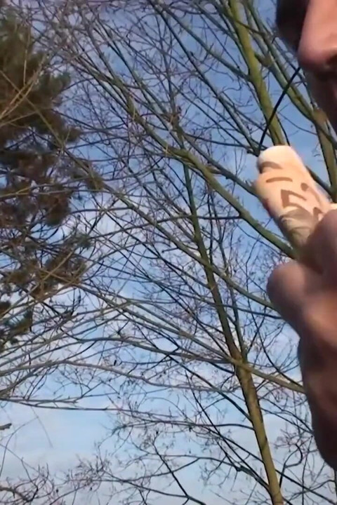 Horny bitch moans hard as she gets fucked out in the outdoor