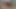 Seksi kız arkadaş elle muamele çekiyor ve sevgilisini sertçe boşaltıyor, her damlasını yarağından çıkarıyor
