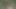 this is how I played while walking in the woods