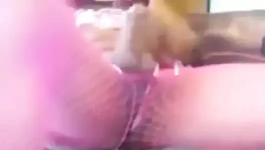 Tragando mecos