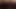 I Added My Cum on Black Dildo and Sucked on It After Masturbation