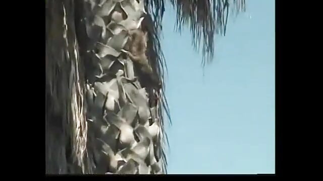 Neuken met een meisje met grote borsten in de tuin