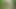 Fapping in the forest! From soft to hard, intense orgasm!
