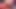Sakura from Naruto hot anal cosplay suck dildo