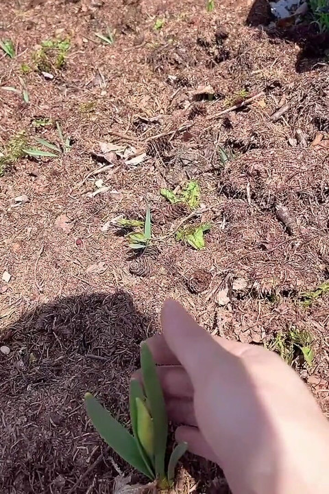 Pee on the Ground Near Truck Wheel