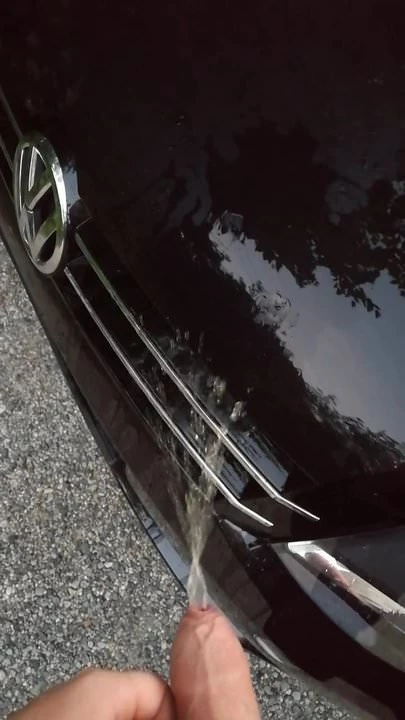 Auf die Motorhaube gepisst