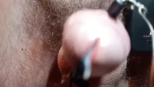 Tahmini ile Precum
