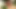 Latin Teink Daisy Chain Raw Threesome