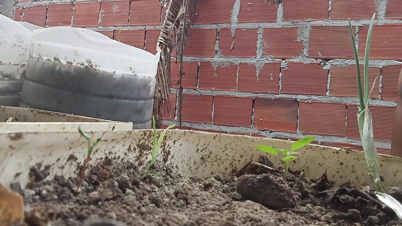 Milf, mollige, dicke titten im freien