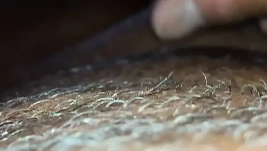 sperma