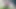 me masturbating in my friends backyard