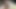 الملاك الآسيوي 24926