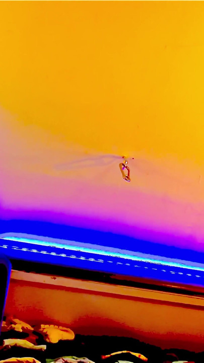 Kone hore trenger kuk