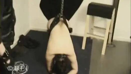 Germany Private Breast and Pussy