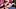 Brunette dominant Roswhitta pegging her boyfriend