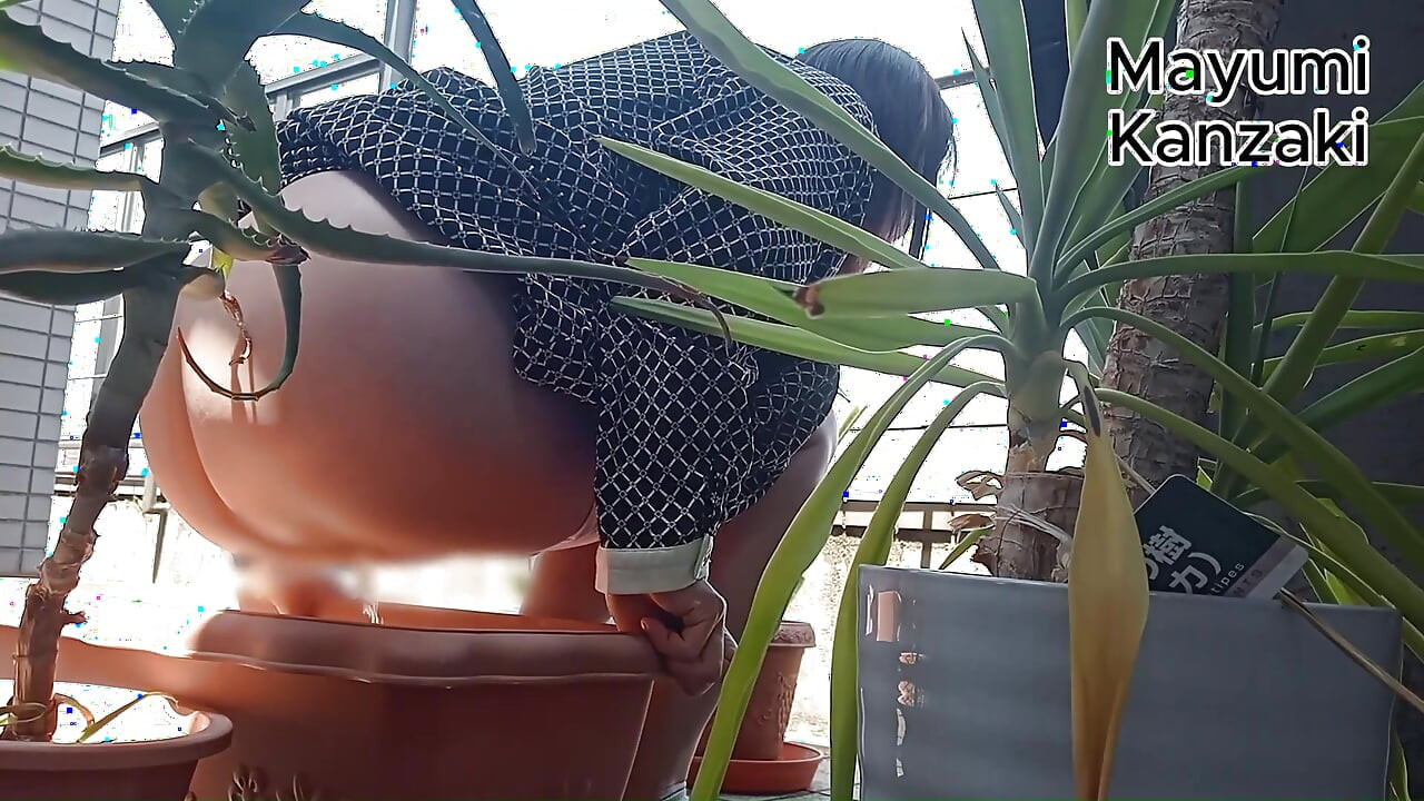 I Pee in the Potted Plant Again