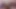 JerkinDad14: penis masturbator - greasy dong verbal poz hairy daddy dick goon bate edging cock mature penis pleasure