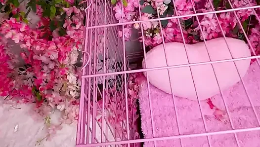 Pink room ep.33: geile latina-schlampen zoey und jessica lieben schwanz