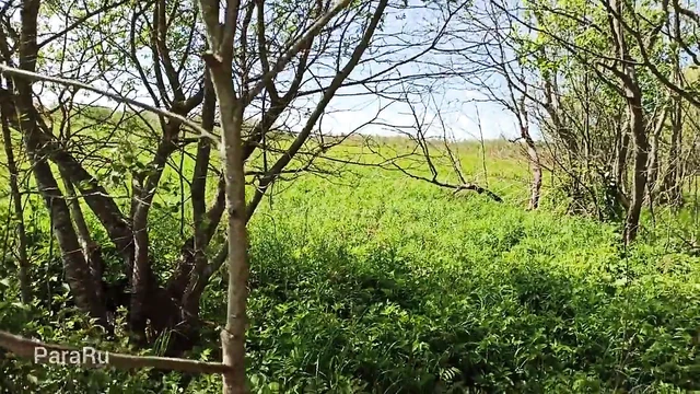 Трах матюрки на природе раком