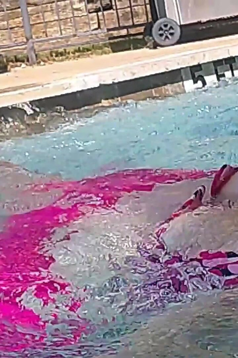 Handsome Harry and Sex Big Beauty Nurse Vicki Do Some Under Water Exercises!