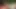 Wanking in the garden - 22nd April 2018
