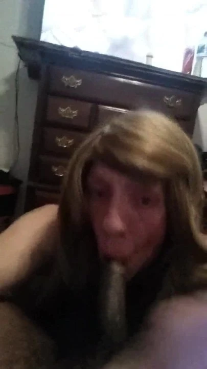 cd cock sucker