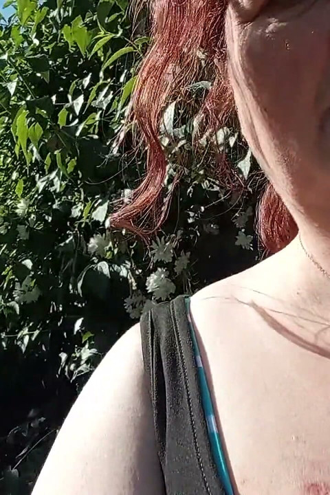 Outdoor with Dolphin