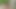 Gay porn military dick exam Jungle bang fest