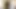 Amatör hottie Asya transeksüel seviyor dildoing ve Mastürbasyon