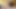 アジアン・エンジェル 28194