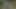 Wach auf, Papi