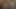 CMNF Virgin Dildo Fuck
