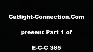 Catfight-Connection