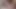 Beauty Sucks Cock to Take Photo - Oral Creampie