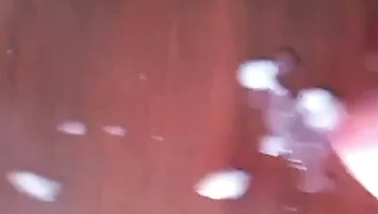 Boşalma