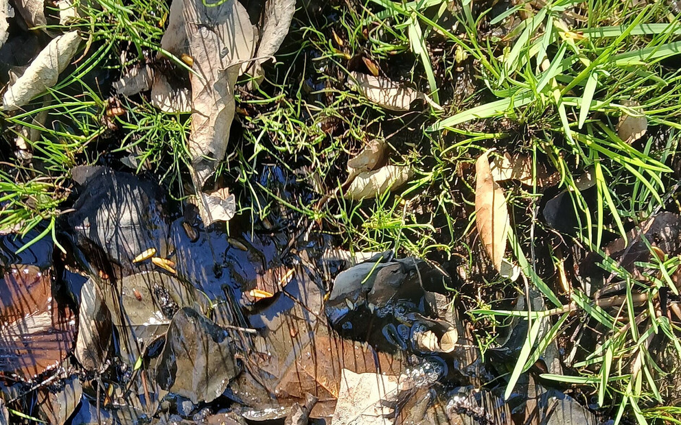 Mud Fun in Rubber Camo Wellies