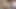 German newbie teen tries amateur porn with a user in a brothel