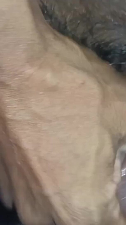 Punjabi bhabhi riya ko sorhi ko choda bahut maza aya | Clip 1
