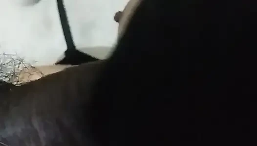 Land Ko Chusa Kar Malish Korte