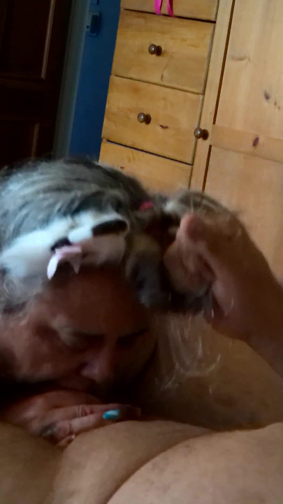 Kitty Meow Meow